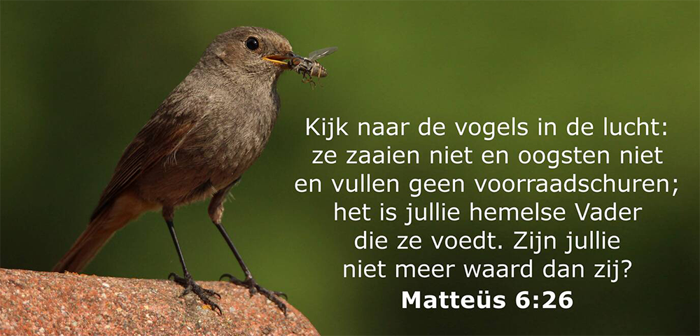 mattheus 6 2